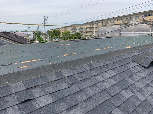 防水シートからの雨漏りにご注意